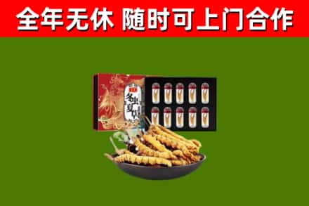 顺河区烟酒回收冬虫夏草礼盒.jpg