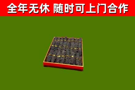 顺河区回收海参